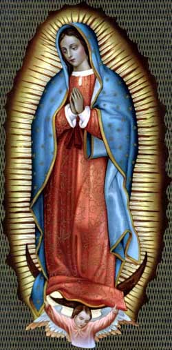 Our Lady of Guadalupe, Madonna of the Americas