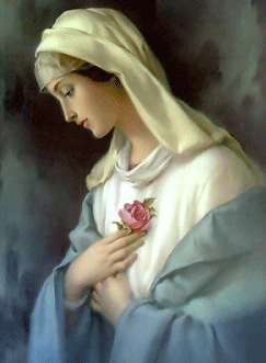Image result for mystic rose virgin mary
