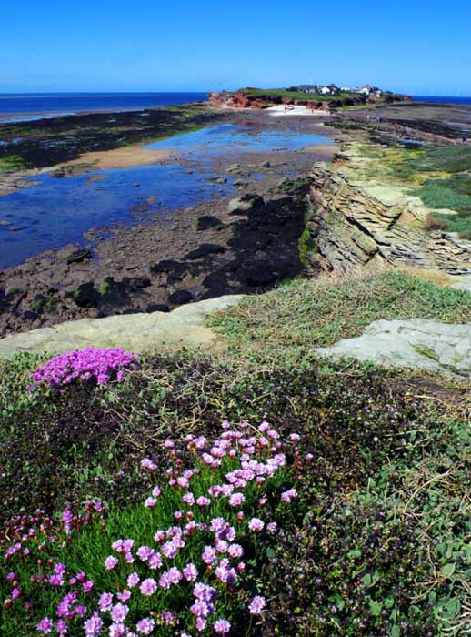 Island of Hilbre